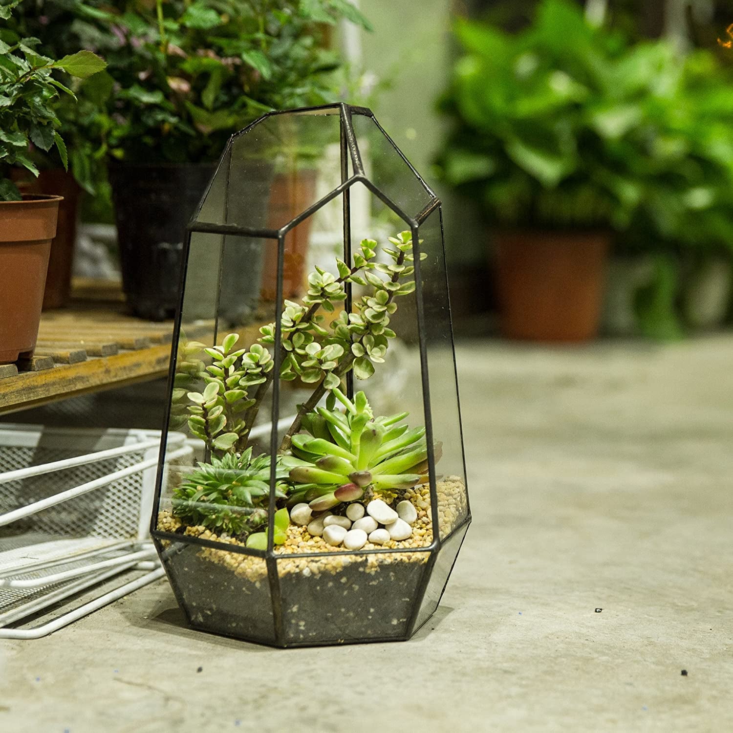 Geometric Glass Terrarium Planter for Succulent, Small Cacti - 6.5" X 5.7" X 9.8" - Tabletop Black Irregular Opened Container Pot for Indoor Home Garden, Office Decor (No Plants, No Door)